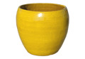 Picture of Extra Large Egg Planter