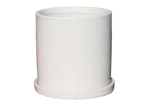 Picture of Medium Cylinder Pot w/ Saucer