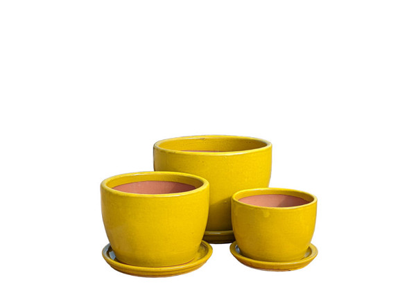 Picture of Round Pots w/ Saucers