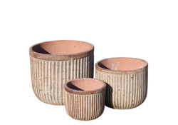 Picture of Pots w/Vertical Lines